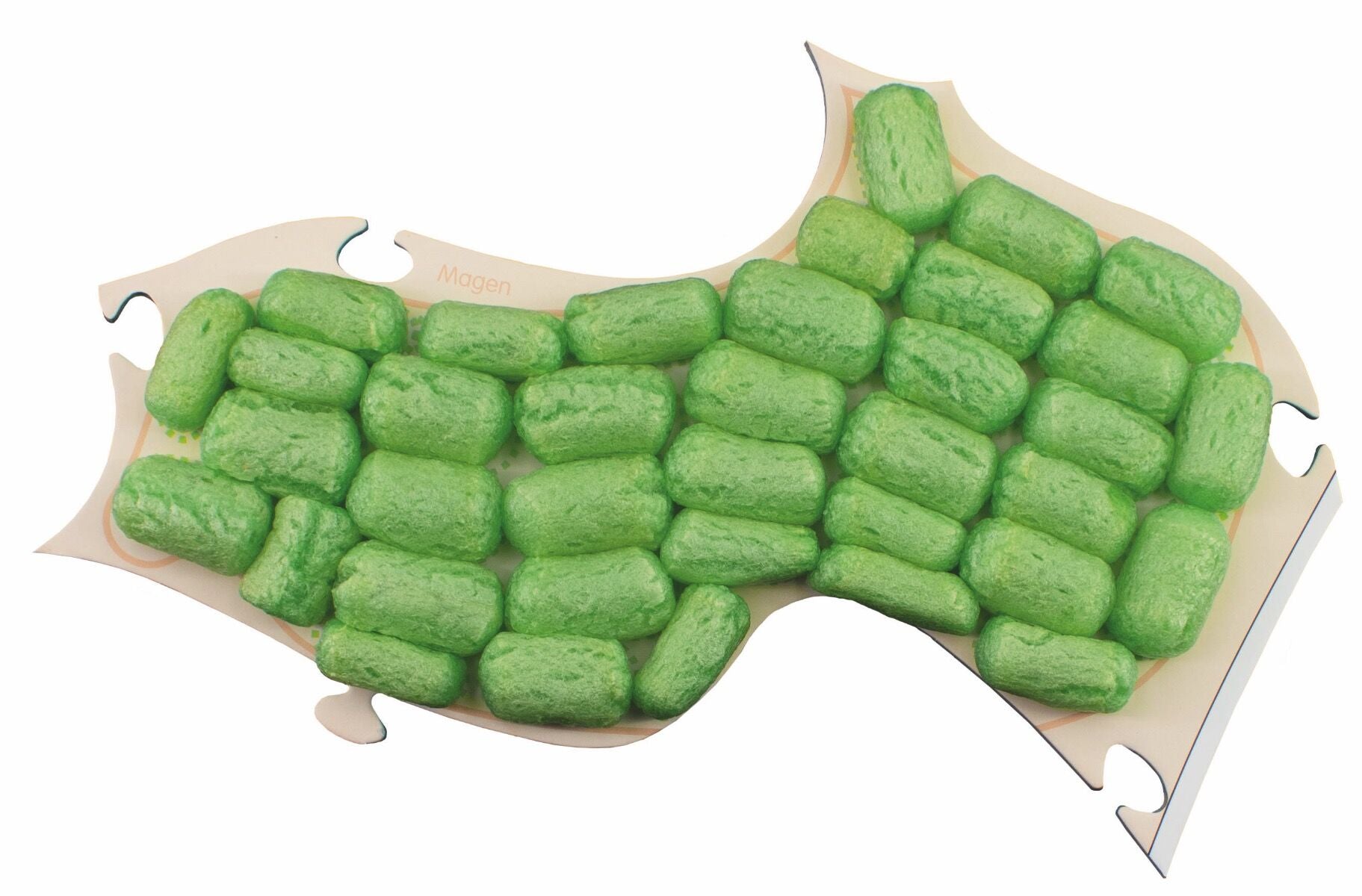 Playmais Eduline anatomy puzzle