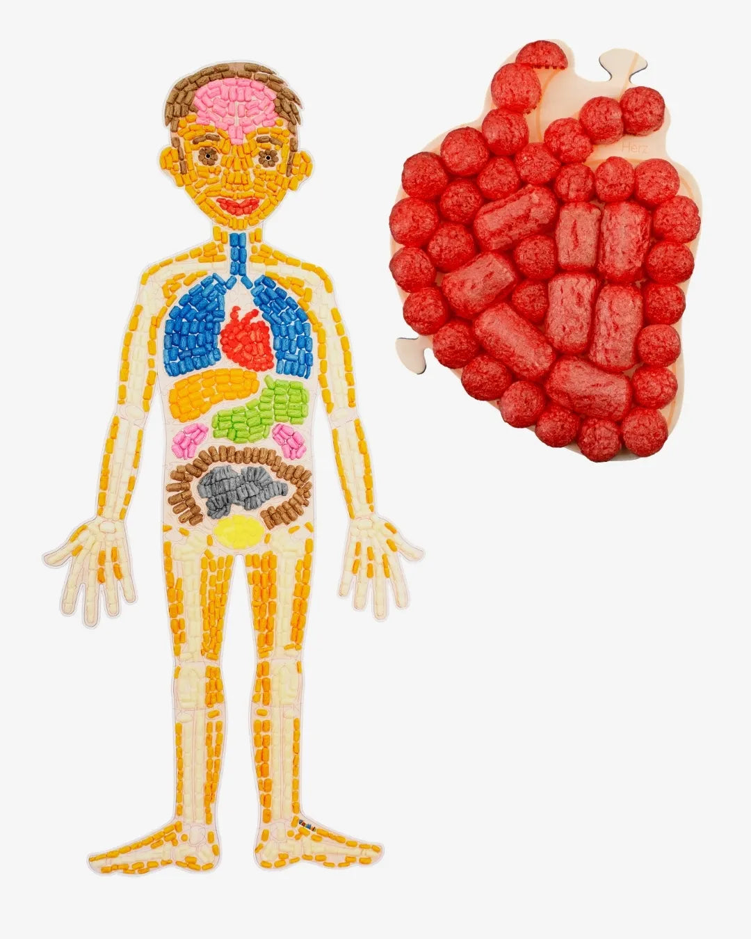 Eduline Smart Kids: Anatomy Puzzle