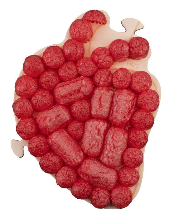Playmais Eduline anatomy puzzle